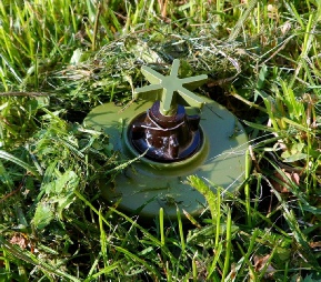 By David Monniaux (Own work) [GFDL (http://www.gnu.org/copyleft/fdl.html), CC-BY-SA-3.0 (http://creativecommons.org/licenses/by-sa/3.0/) or CC BY-SA 2.0 fr (http://creativecommons.org/licenses/by-sa/2.0/fr/deed.en)], via Wikimedia Commons